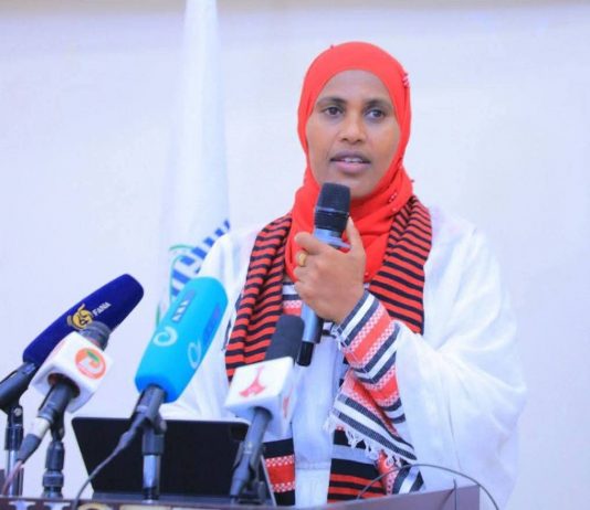 በፕላን የተመሩ የገጠር ማዕከላት እንዲገነቡ ማድረግ ይገባል።