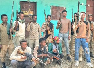 በቡሬ ዙሪያ ወረዳ በጫካ ሲንቀሳቀሱ የነበሩ ታጣቂዎች የሰላም አማራጭን ተቀበሉ።