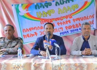 ሕዝባችንን ለችግር የዳረገውን የጸጥታ ችግር በሰላም ለመፍታት መንግሥት እየሠራ ነው።