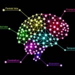 7f698748-6c0a-44c1-a60e-38fa8f1a9de4_11zon