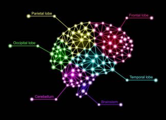 ቻትጂፒቲ እና አዕምሯችን – አዲስ የጥናት ውጤት ምን ይላል?