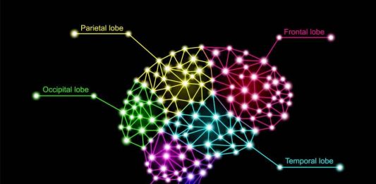 ቻትጂፒቲ እና አዕምሯችን – አዲስ የጥናት ውጤት ምን ይላል?