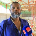 ውጤታማዎቹ ዶሮ አርቢዎች FB_IMG_1765707657883