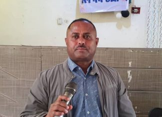 በምዕራብ ጎንደር ዞን በጫካ ታጥቀው ሲንቀሳቀሱ የነበሩ ኀይሎች የሰላምን አማራጭ ተቀብለው ገቡ።