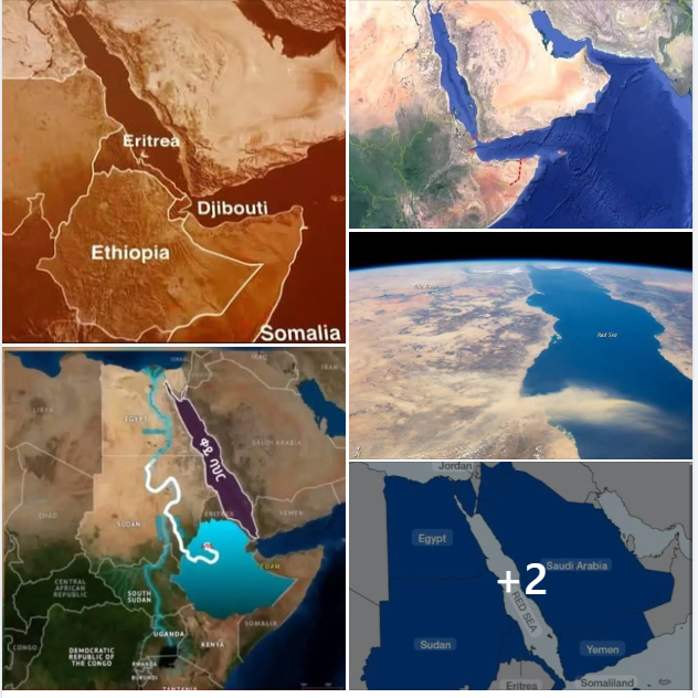 Screenshot 2025-12-04 105612