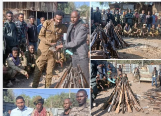 65 ታጣቂዎች የመንግሥትን የሰላም ጥሪ ተቀበሉ።