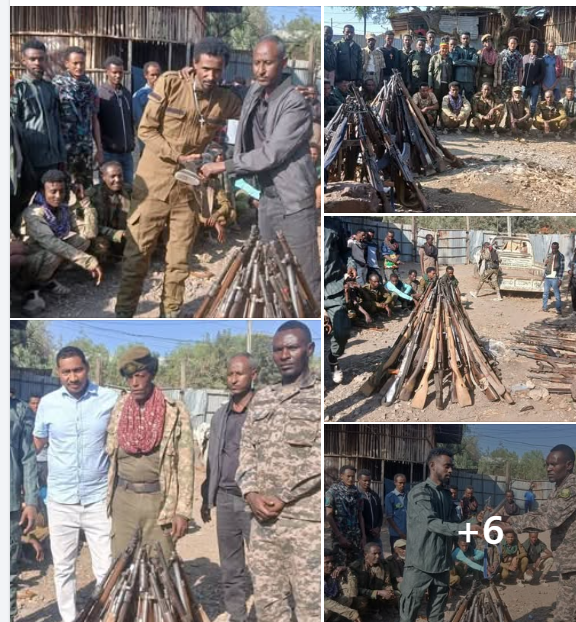 Screenshot 2025-12-12 150858