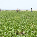 photo_2025-12-30_15-20-14 (2)