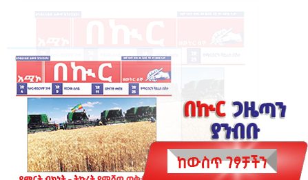 በኩር ጋዜጣ ኅዳር 15/2018 ዓ.ም