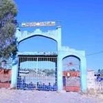 "ባልማር ኖሮ አረብ ሀገር የጉልበት ሠራተኛ ነበርኩ" 1768367984434