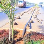 በልማት ሥራዎች ላይ የተቋማት አለመናበብ ለምን? 1768376520744