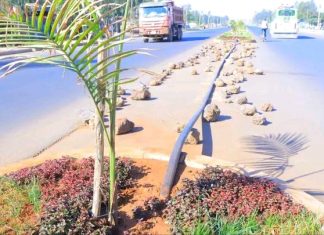 በልማት ሥራዎች ላይ የተቋማት አለመናበብ ለምን?