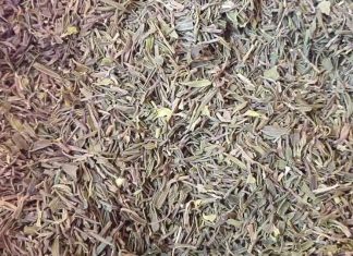 ከ1 ሚሊዮን ብር በላይ የሚገመት አደንዛዥ እጽ ተያዘ።