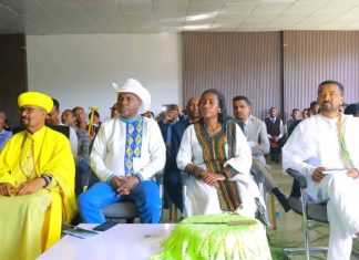 የትምህርት ጥራት ለመረጋገጥ በሚደረገው ጥረት የበኩላቸውን እንደሚወጡ ኑሮአቸውን በውጭ ሀገራት ያደረጉ ኢትዮጵያውያን አስታወቁ።