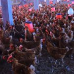 610983198_1307577741400147_4865722995082182216_n