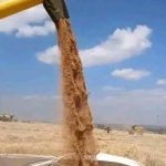 611290857_1308394804651774_2983409240237872546_n