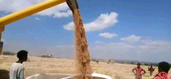 611290857_1308394804651774_2983409240237872546_n