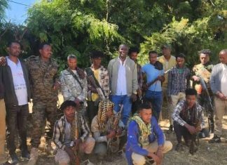 የሰላምን መንገድ መምረጥ አዋጭ ነው።