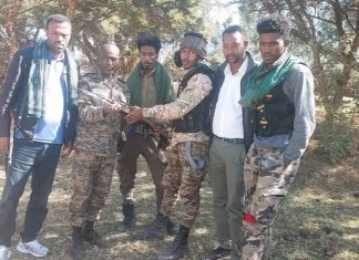 ታጣቂዎች የሰላም አማራጭ መቀበላቸውን ቀጥለዋል።