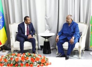 ጠቅላይ ሚኒስትር ዐቢይ አሕመድ (ዶ.ር) ጂቡቲ ገብተዋል።
