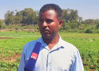 የሴፍትኔት መርሐግብር የነዋሪዎችን ኑሮ እያሻሻለ ነው።