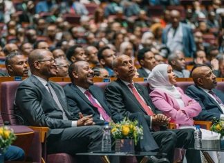 የፋይናንስ እምርታ በኢትዮጵያ