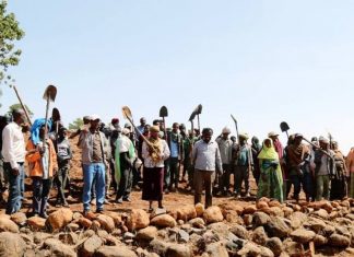 የተፈጥሮ ሃብት ጥበቃ ሥራ እና ኢኮኖሚያዊ አበርክቶው