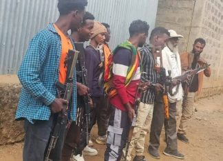 በአለፋ ወረዳ የታጠቁ አካላት የመንግሥትን የሰላም ጥሪ ተቀበሉ።