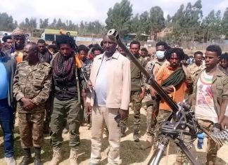 በክልሉ መንግሥት እና አፋሕድ መካከል የተደረሰውን የሰላም ስምምነት ተከትሎ በታች ጋይንት ወረዳ ሲንቀሳቀሱ የነበሩ ታጣቂዎች ወደ ሰላም ገቡ።