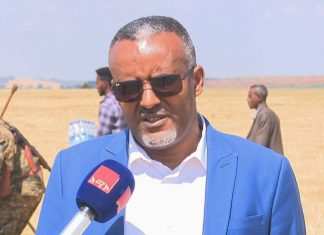 ታጥቀው በጫካ ሲንቀሳቀሱ የነበሩ ታጣቂዎች የሰላም ጥሪውን ተቀበሉ።