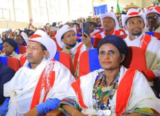 በአገው ፈረስ ባሕል እና በሀገረሰባዊ ጥበባት ላይ ትኩረት ያደረገ ሲምፖዚዬም እየተካሄደ ነው።