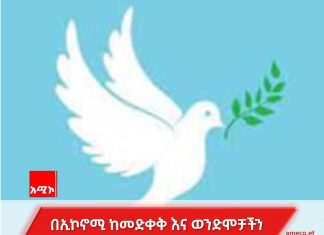 “ለአማራ መታገል፤ አማራን ማሰቃየት ከኾነ ይቅር” ወደ ሰላም የተመለሰ ወጣት