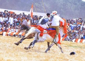 ለአገው ፈረስ ባሕል ሰፊ ቅድመ ዝግጅት ተደርጓል፡፡