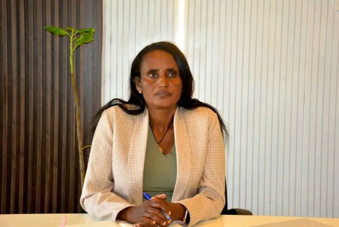 623413827_1328271335997454_2709845019646035772_n