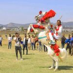 ፈረሶቹ ጋላቢዎቻቸውን፣ ጋላቢዎቹም ፈረሶቻቸውን ያውቃሉ። 624035764_1327410889416832_6740720207383371208_n