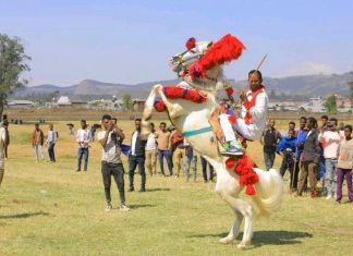 ፈረሶቹ ጋላቢዎቻቸውን፣ ጋላቢዎቹም ፈረሶቻቸውን ያውቃሉ።