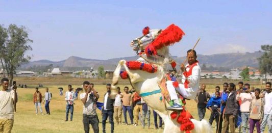 ፈረሶቹ ጋላቢዎቻቸውን፣ ጋላቢዎቹም ፈረሶቻቸውን ያውቃሉ።