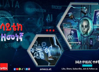 አምስተኛው የሳይበር ጥቃት ማዕበል