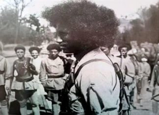 “ጣሊያን ብሎ ነበር ኢትዮጵያን ሀገሬ እምቢ አለ እንጂ ኮስትር ተጠምዶ እንደበሬ”