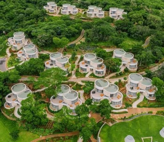 የገበታ ፕሮጀክቶች የተቀበረ ታሪክን እየገለጡ ነው።