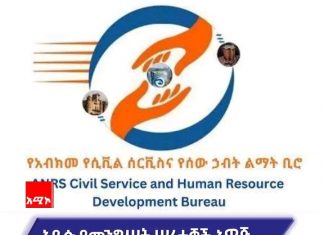 አዲሱ የመንግሥት ሠራተኞች አዋጅ ምን አዲስ ነገር ይዞ መጣ?
