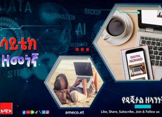 የዲጂታል ዘላንነት ምንድን ነው?