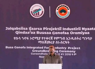 ጠቅላይ ሚኒስትር ዐቢይ አሕመድ (ዶ.ር) የጎኖፋ የተቀናጀ የምግብ ኢንዱስትሪ ግንባታን አስጀመሩ።