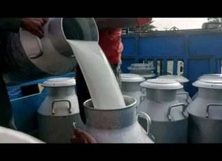 በዘመናዊ የእንስሳት እርባታ ውጤት ማምጣት ተችሏል።