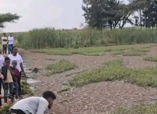 የገራይን ሐይቅ ለማዳን ምን እየተሠራ ነው?