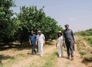 “በግብርናው ዘርፍ ለውጥ ማምጣት ተቀዳሚ ሥራ ነው” ጠቅላይ ሚኒስትር ዐቢይ አሕመድ (ዶ.ር)