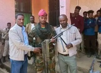 በባሕርዳር ዙሪያ እና በሰሜን ሜጫ ወረዳዎች በጫካ ሲንቀሳቀሱ የነበሩ ታጣቂዎች የሰላም አማራጭን ተቀበሉ።