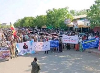 በማይካድራ ከተማ አሥተዳደር ሕዝባዊ ሰላማዊ ሰልፍ እየተካሄደ ነው።