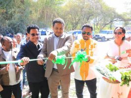 በኮምቦልቻ ከተማ ውስጥ የተገነቡ የልማት ሥራዎች ተመረቁ።