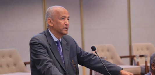 “የእናቶችን ሃዘን ማስቆም የምንችለው ችግሮችን በምክክር መፍታት ስንችል ነው” ፕሮፌሰር መስፍን አርዓያ